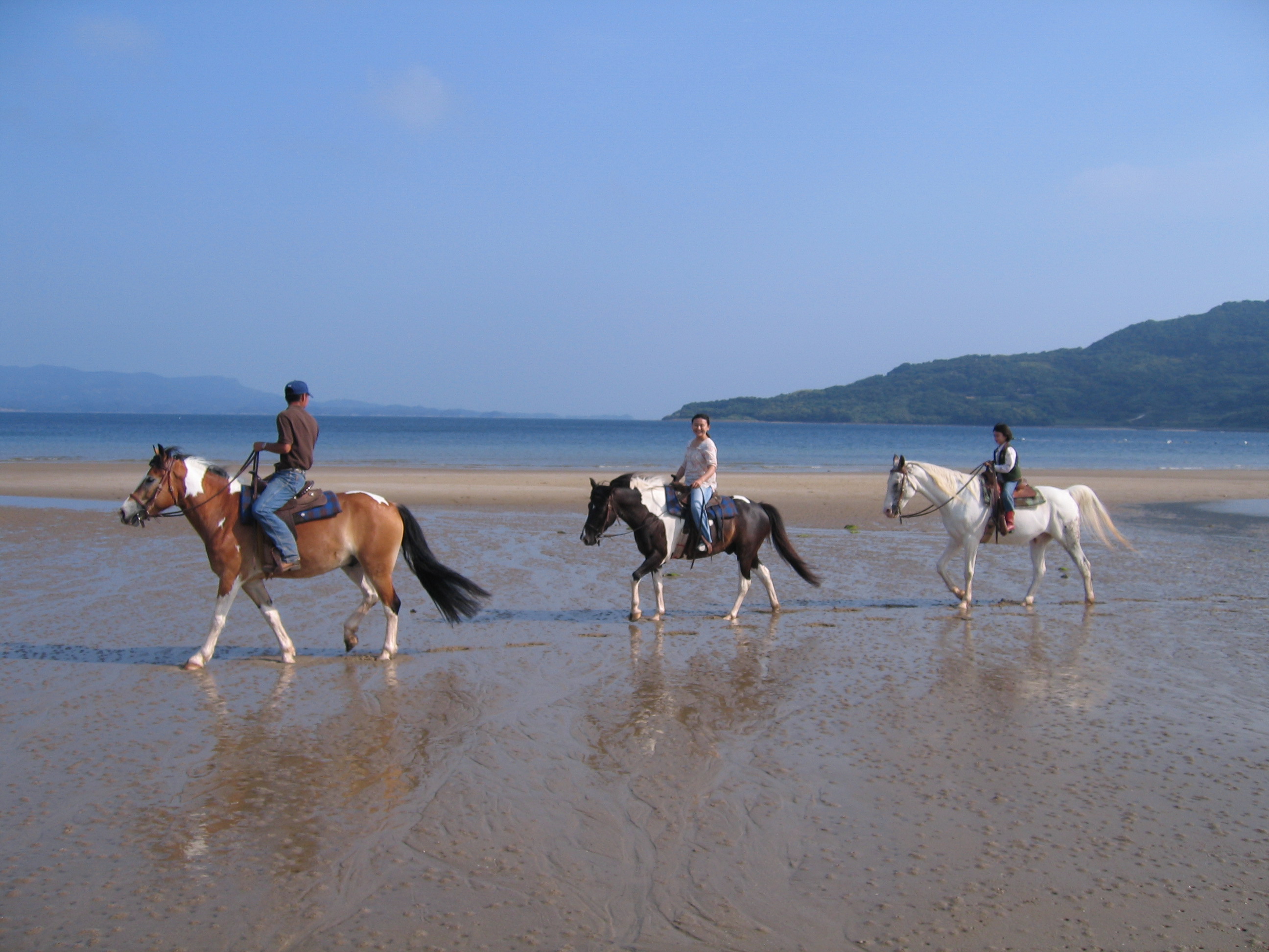 해변 승마체험