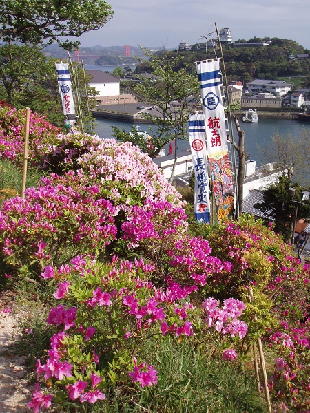 철쭉 만개 시기 정보 (4월 중순~5월 초) 사키카타공원(崎方公園)　